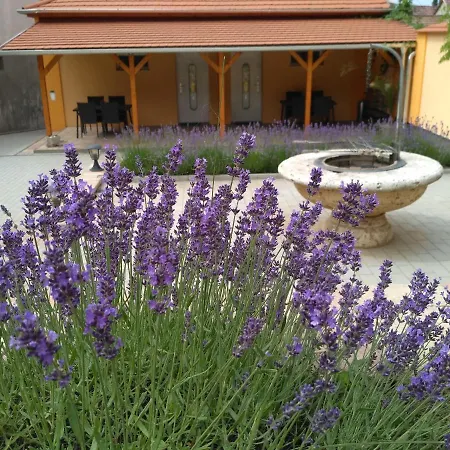 Paradise Apartmanhaz Apartment Eger
